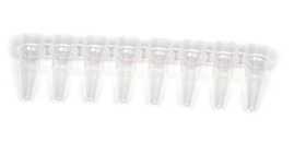 0.2 ml 8-Tube PCR Strips without Caps, high profile, clear #TBS0201