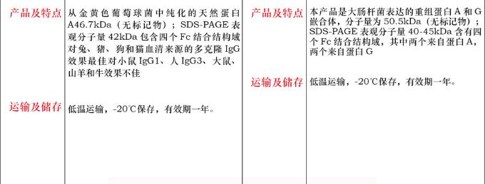 重组蛋白 A1mg规格