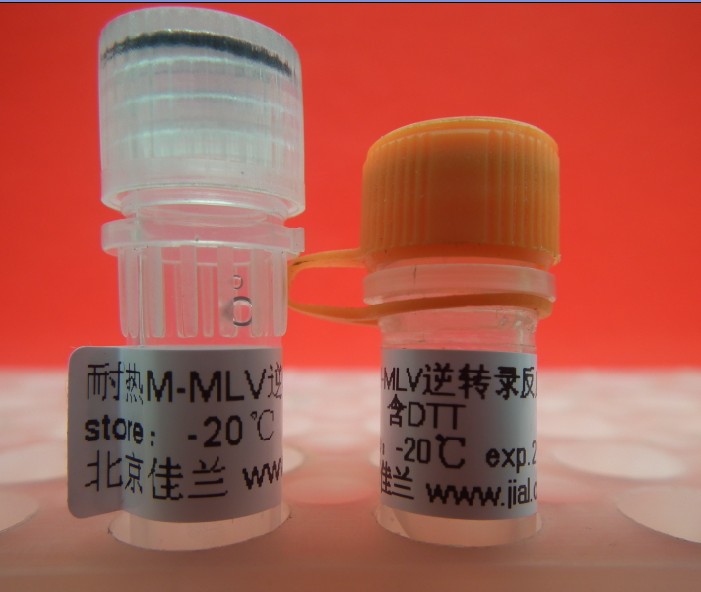 耐热MMLV逆转录酶，Thermal Stable MMLV Reverse Transcriptase (RNase H-) 10000U