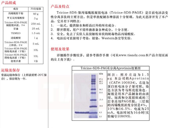 一站式 Blue Native PAGE 电泳套装30 次规