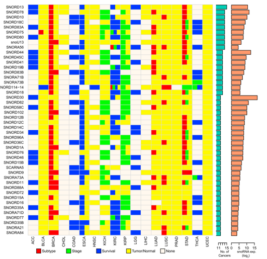 想研究snoRNA无从下手?好用的snoRNA数据库