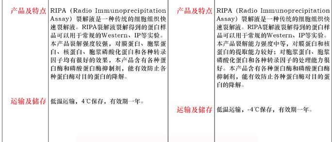RIPA 裂解液 ( 强 )100mL规格