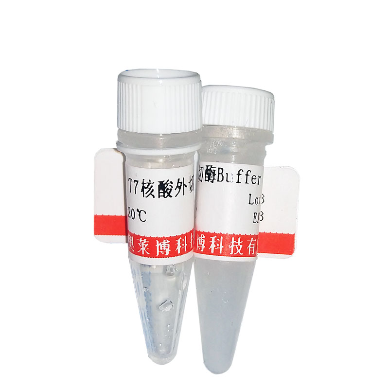 标准蛋白质溶液(BSA,5mg/ml)