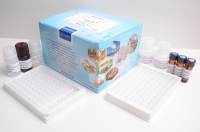 牛血吸虫抗体(IHA)ELISA试剂盒