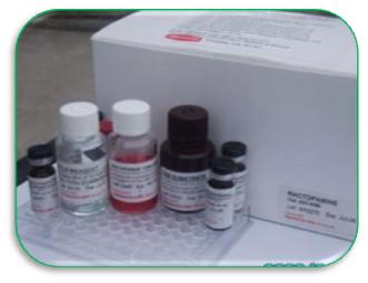 小鼠乳腺癌标志物-CA153ELISA Kit使用说明书