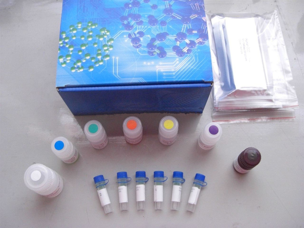 人早老素2(PS-2)ELISA试剂盒 
