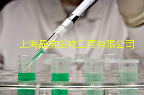 维生素D3（VD3）含量测试盒