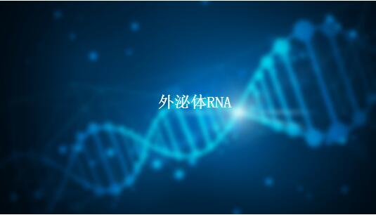 外泌体RNA分离试剂盒