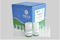 外泌体提取试剂盒（血清或血浆）