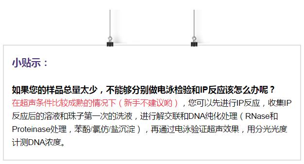 Active Motif ChIP 实验专家技术经验分享 : ChIP 实验染色质超声破碎指南（下篇）