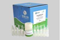 外泌体提取试剂盒（细胞培养上清/尿液）