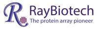 RayBiotech 特约代理