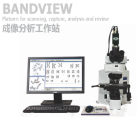BandView成像分析工作站