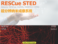 RESCue STED 活细胞超高分辨影像系统