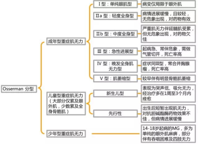 3分鐘學會重症肌無力分型