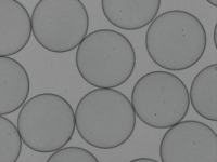 CIB001 Cell-in-a-Box 