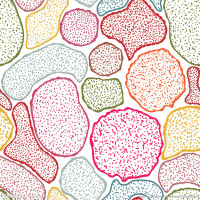 猪主动脉内皮细胞品牌