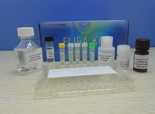 人c-myc癌基因产物(c-myc)ELISA试剂盒