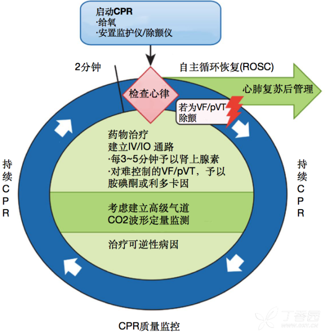 2018aha 心肺复苏指南更新 要点速读 丁香园