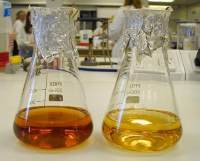 L-苯甘氨酸甲酯盐酸盐L-Phenylglycine methyl ester•HCl品牌