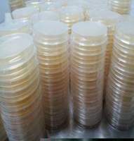 胰酪大豆胨液体培养基货号