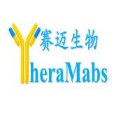 重组透明质酸酶