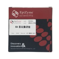 ZJ101L BCA蛋白定量试剂盒