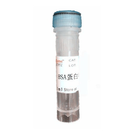 ZJ201 蛋白標準品（5mg/ml BSA）