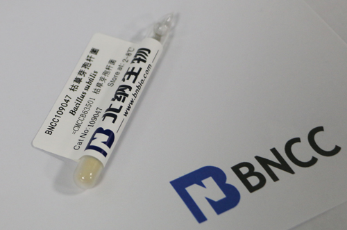 北纳创联藤仓赤霉藤仓变种