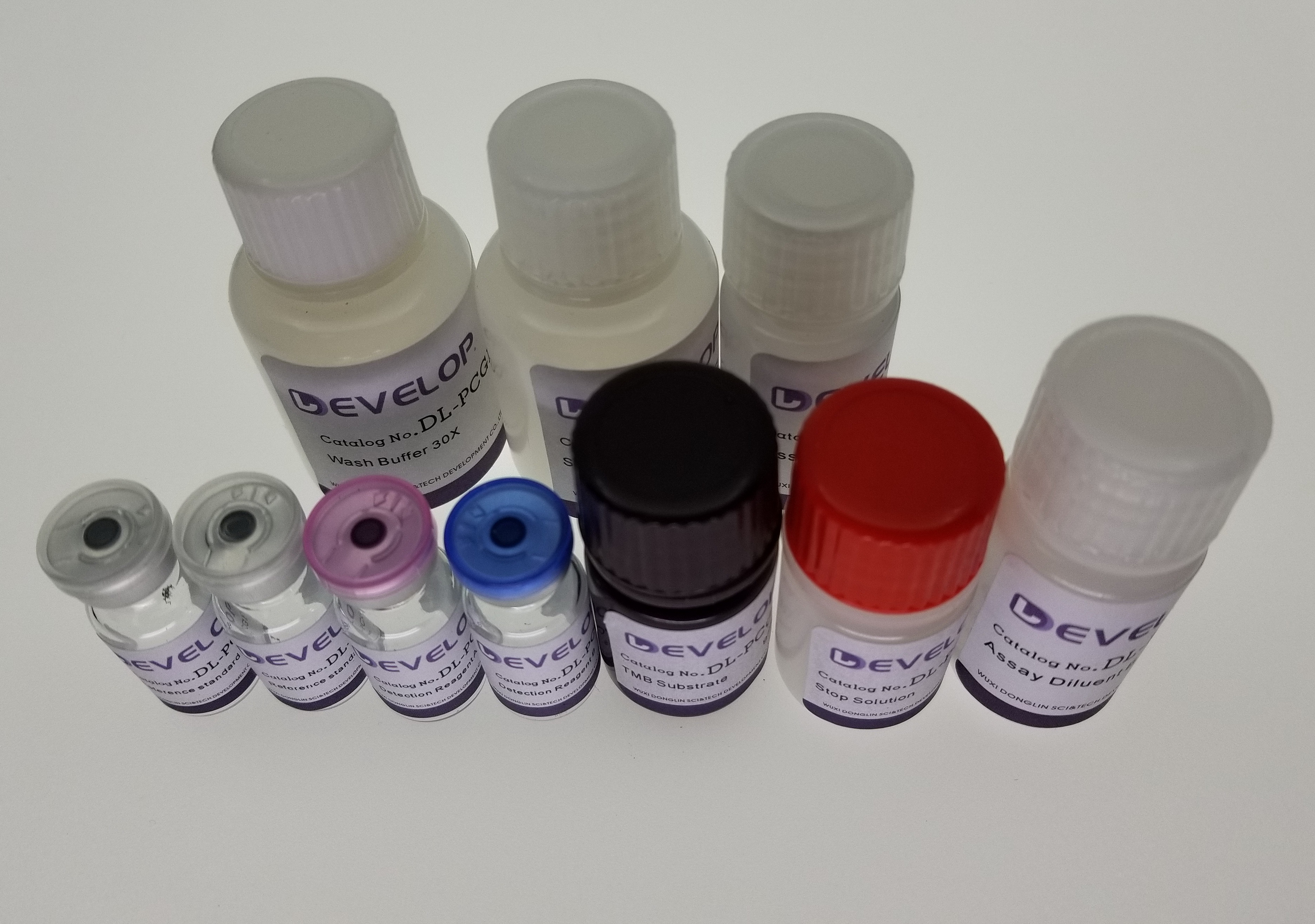 人脂联素受体1(ADIPOR1) ELISA Kit