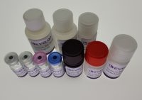 人胰多肽(PP) ELISA Kit