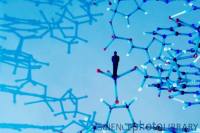 蛋白互作PCA检测