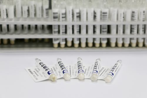 北纳创联盘长孢状刺盘孢