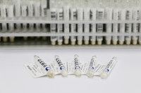 北纳创联盘长孢状刺盘孢