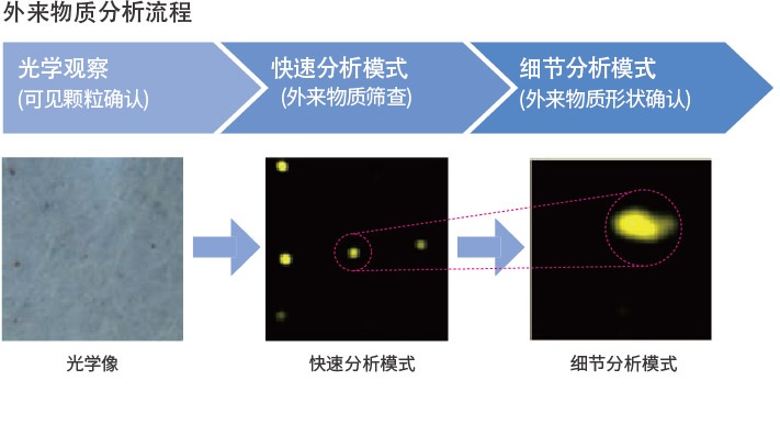 HORIBA XGT-9000 X射线显微分析仪