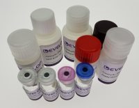 牛乳铁传递蛋白(LTF) ELISA Kit