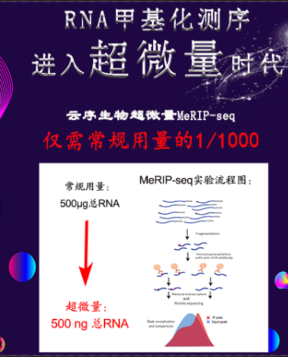 超微量RNA甲基化测序