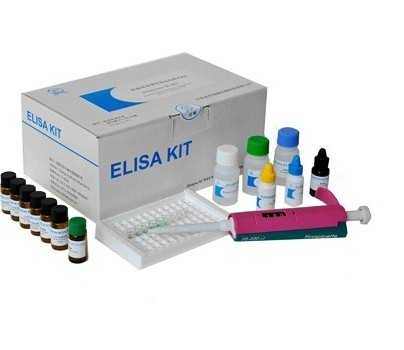 人巨噬细胞刺激蛋白(MSP)ELISA试剂盒产品图