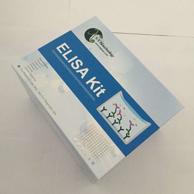 Human TP53 antibody ELISA Kit