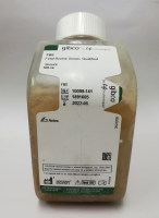 Gibco 胎牛血清 cat#10099-141 现货 10099141