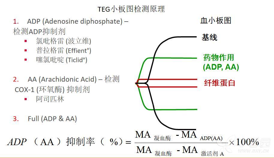 乐普血栓弹力图图片