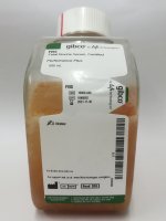 Gibco胎牛血清cat#16000-044   现货(16000044)