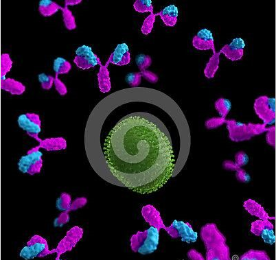 Anti-NDUFA10 antibody