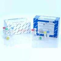 非冻型组织 RNA 保存液100mL保存