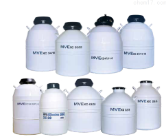 美国MVE储存型液氮罐XC33/22
