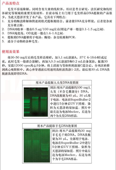 柱式毛发 DNAout50 次图片