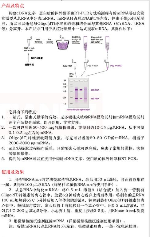 一站式磁珠法植物 mRNAout50 次保存