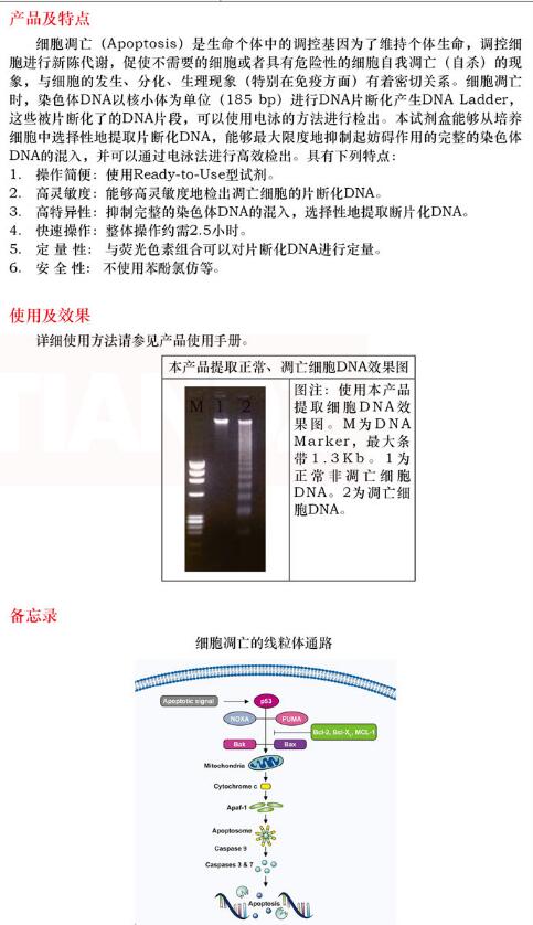 凋亡 DNAout24 次说明书