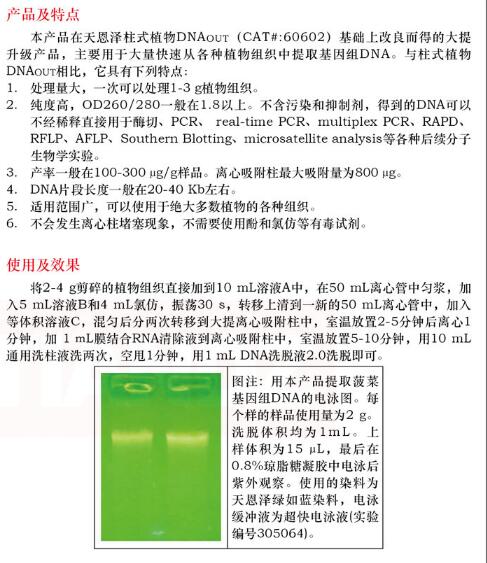 Southern 级植物 DNAout 10 次保存