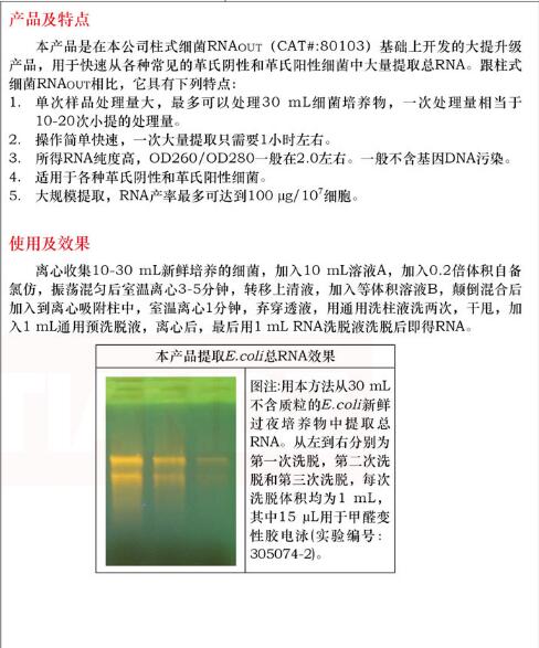 大提柱式细菌 RNAout5次保存